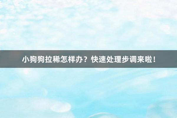 小狗狗拉稀怎样办？快速处理步调来啦！